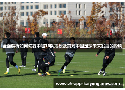 全面解析如何恢复中超16队规模及其对中国足球未来发展的影响 全面解析如何恢复中超16队规模及其对中国足球未来发展的影响