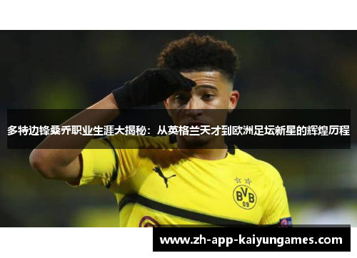 多特边锋桑乔职业生涯大揭秘：从英格兰天才到欧洲足坛新星的辉煌历程
