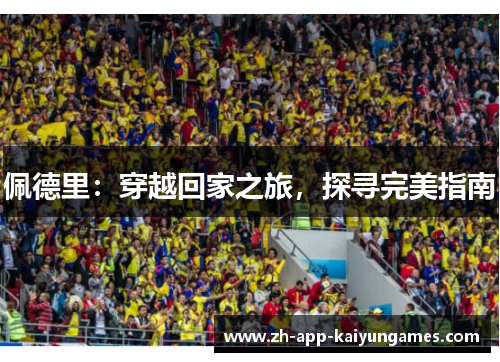 佩德里：穿越回家之旅，探寻完美指南