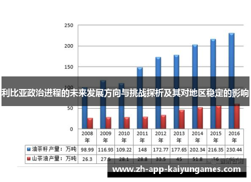 利比亚政治进程的未来发展方向与挑战探析及其对地区稳定的影响