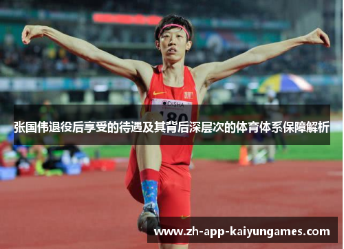 张国伟退役后享受的待遇及其背后深层次的体育体系保障解析