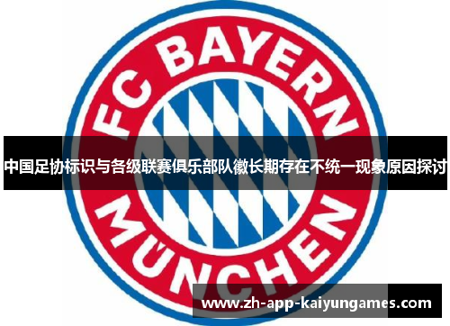 中国足协标识与各级联赛俱乐部队徽长期存在不统一现象原因探讨
