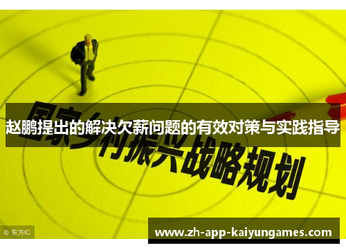 赵鹏提出的解决欠薪问题的有效对策与实践指导
