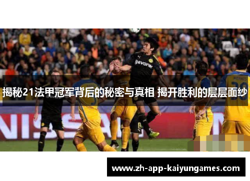 揭秘21法甲冠军背后的秘密与真相 揭开胜利的层层面纱