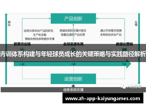 青训体系构建与年轻球员成长的关键策略与实践路径解析